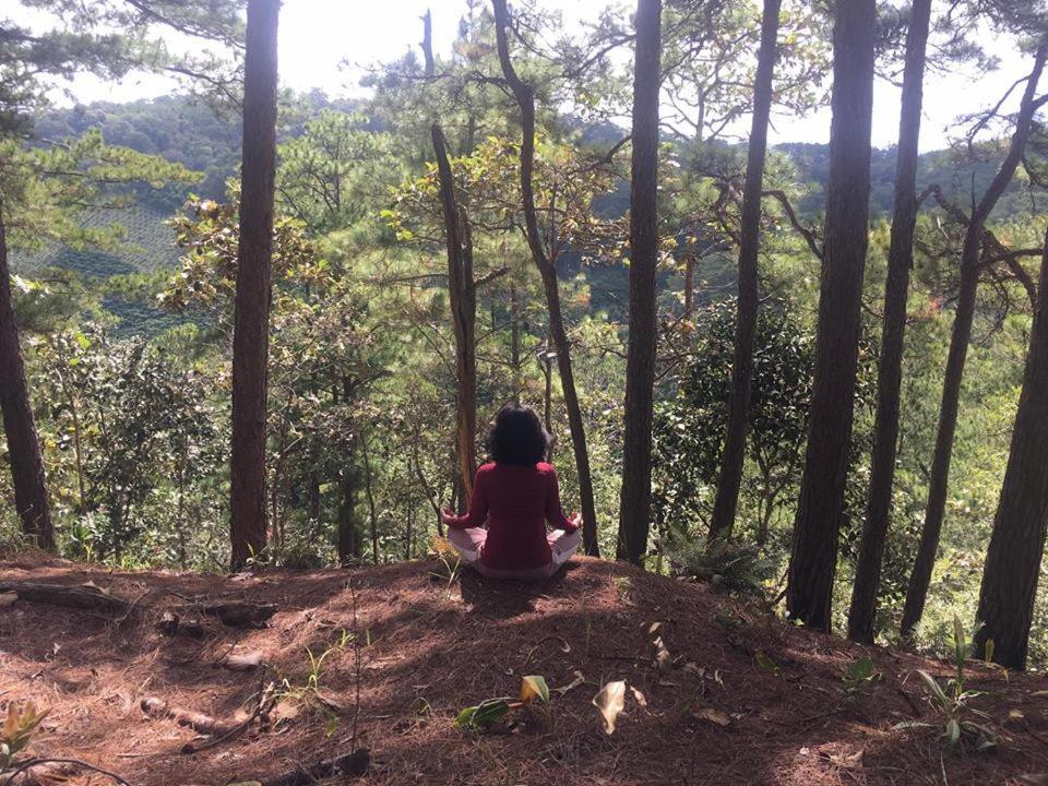 Farmstay O A Phao - Km37 Ham Yen 뚜옌꽝 외부 사진